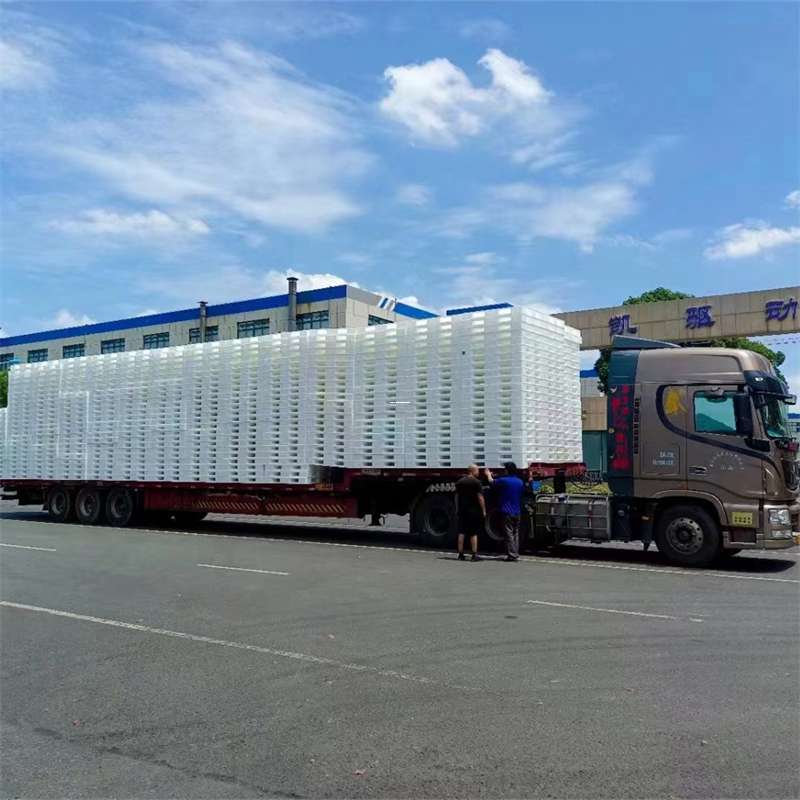 大通区黄埔区物流：多元服务与高效运输线路探秘