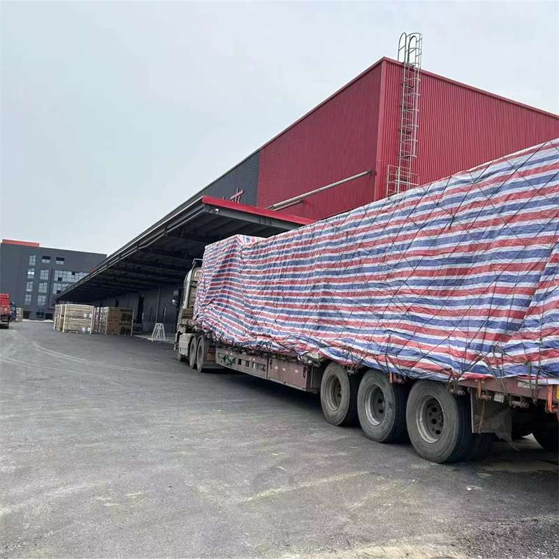 大通区渝中区物流：多元服务与运输线路探秘