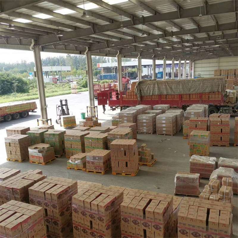 大通区普安县物流：多元专线运输的精彩探索