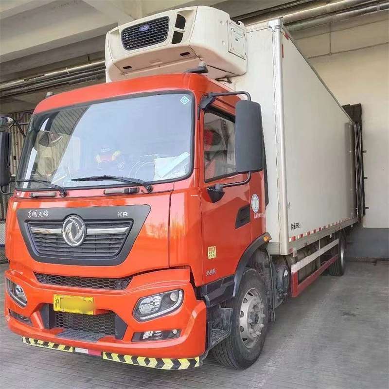 大通区萨迦县：物流专线的高效货运之旅